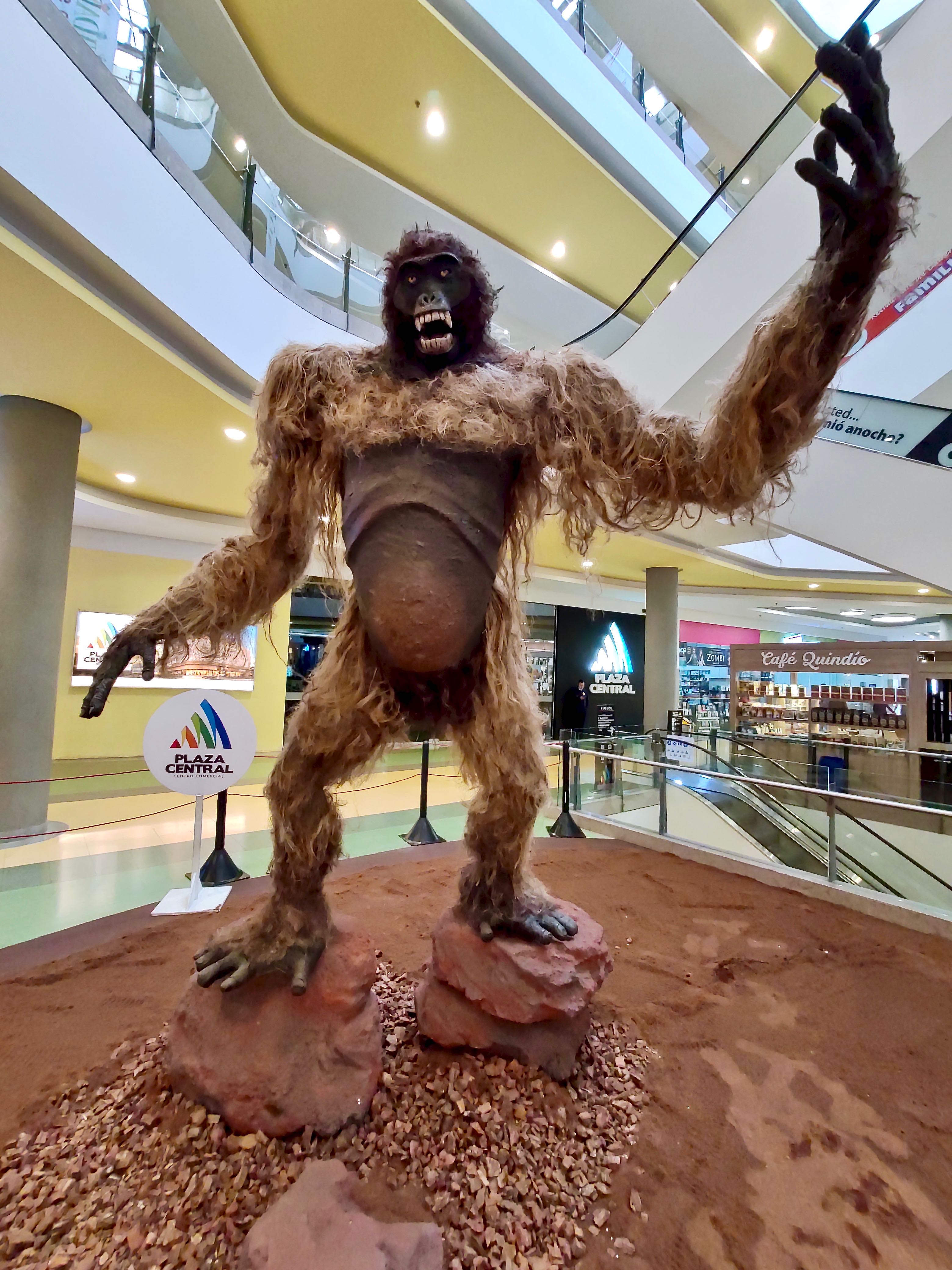 El Gigantopithecus de cuatro metros de altura, que pesaba entre 200 kgs y media tonelada. . 